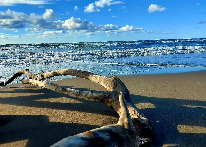 Blue Paradise - Gjiri I Lalezit Plazhi San Pietro