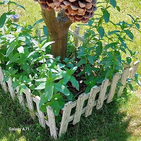 Casa vacanze Blue Paradise - Gjiri I Lalezit *