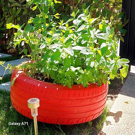 Blue Paradise - Gjiri I Lalezit Plazhi San Pietro